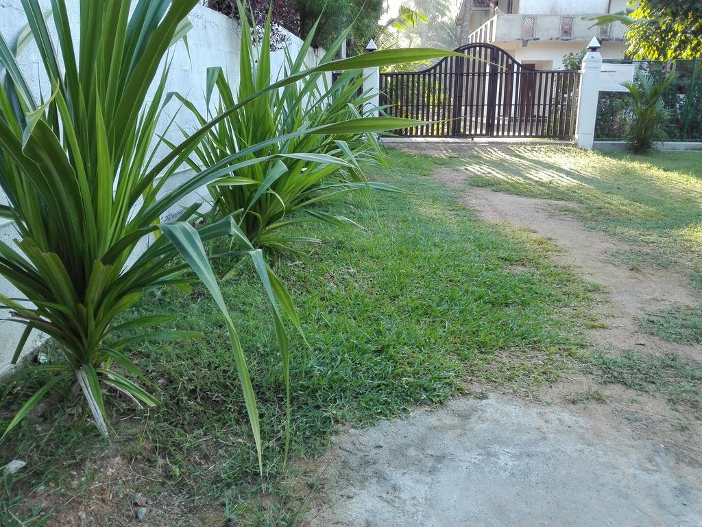 Beach Corner Hotel Weligama Ngoại thất bức ảnh